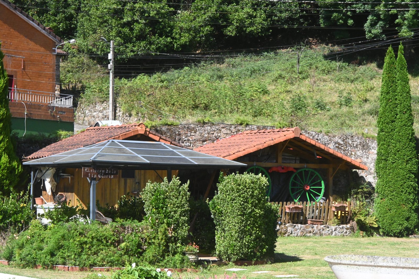 DSC_0631